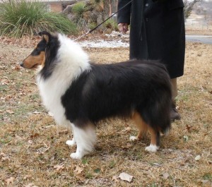 Keeper Feb 2011
