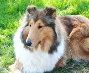 Kenna 10 30 2011