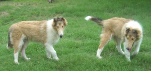 hope and victor leggy july